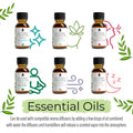 14 pack aromatherapy essential oil gift set